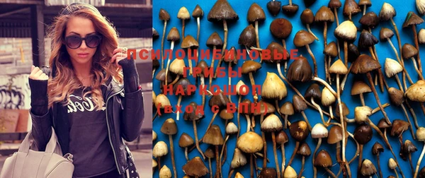 наркотики Каменск-Шахтинский