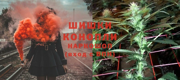 бошки Каменногорск
